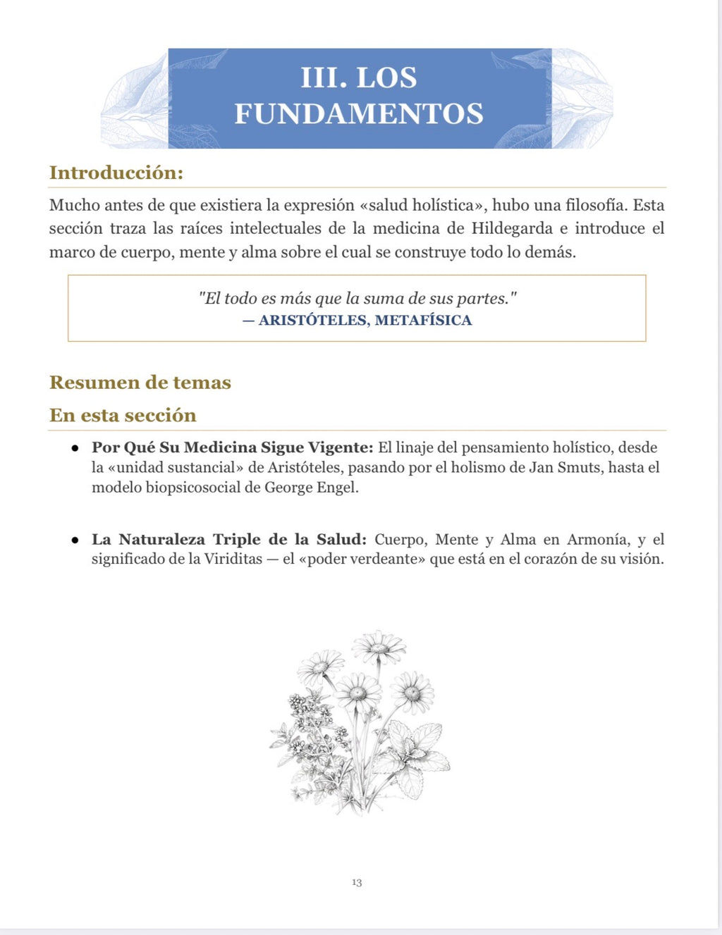 Medicina de Hildegarda: la verdad más allá de los mitos