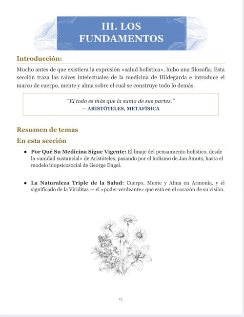Medicina de Hildegarda: la verdad más allá de los mitos